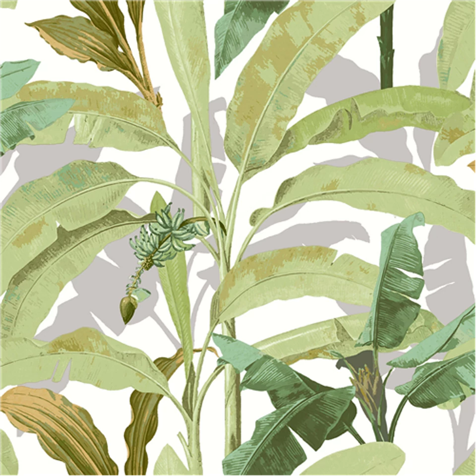 Flora