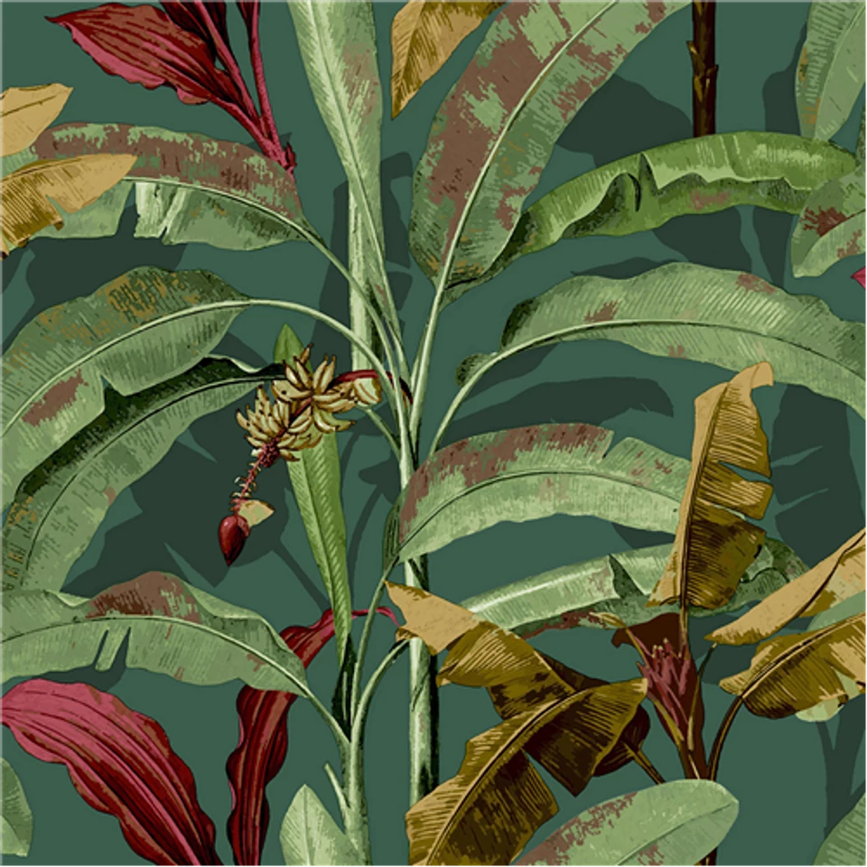 Flora