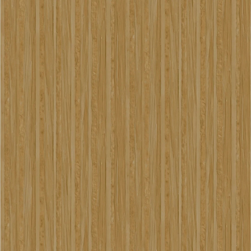 Architexture 2
