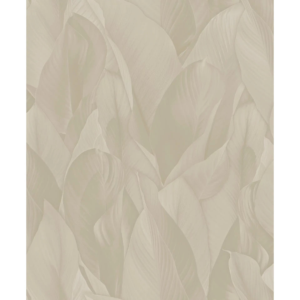 Architexture 2