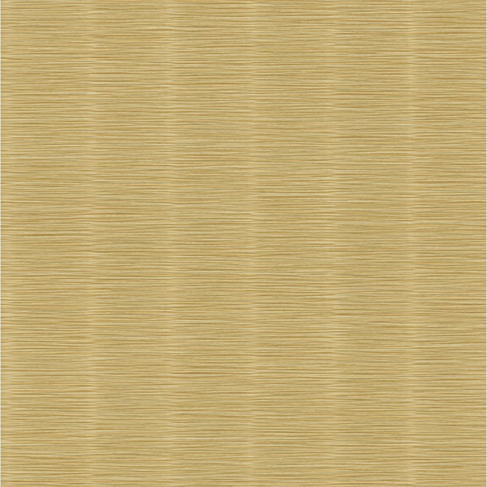 Architexture 2