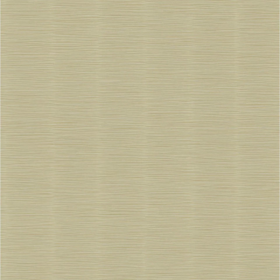 Architexture 2