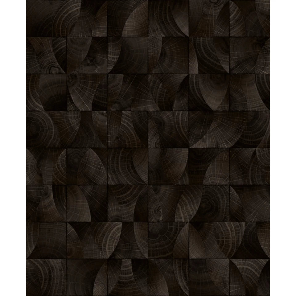Architexture 2