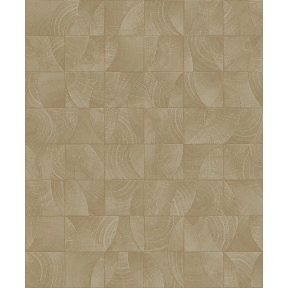 Architexture 2