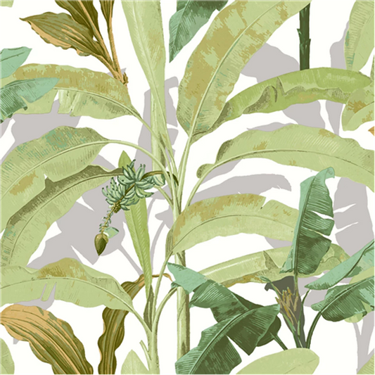 Flora
