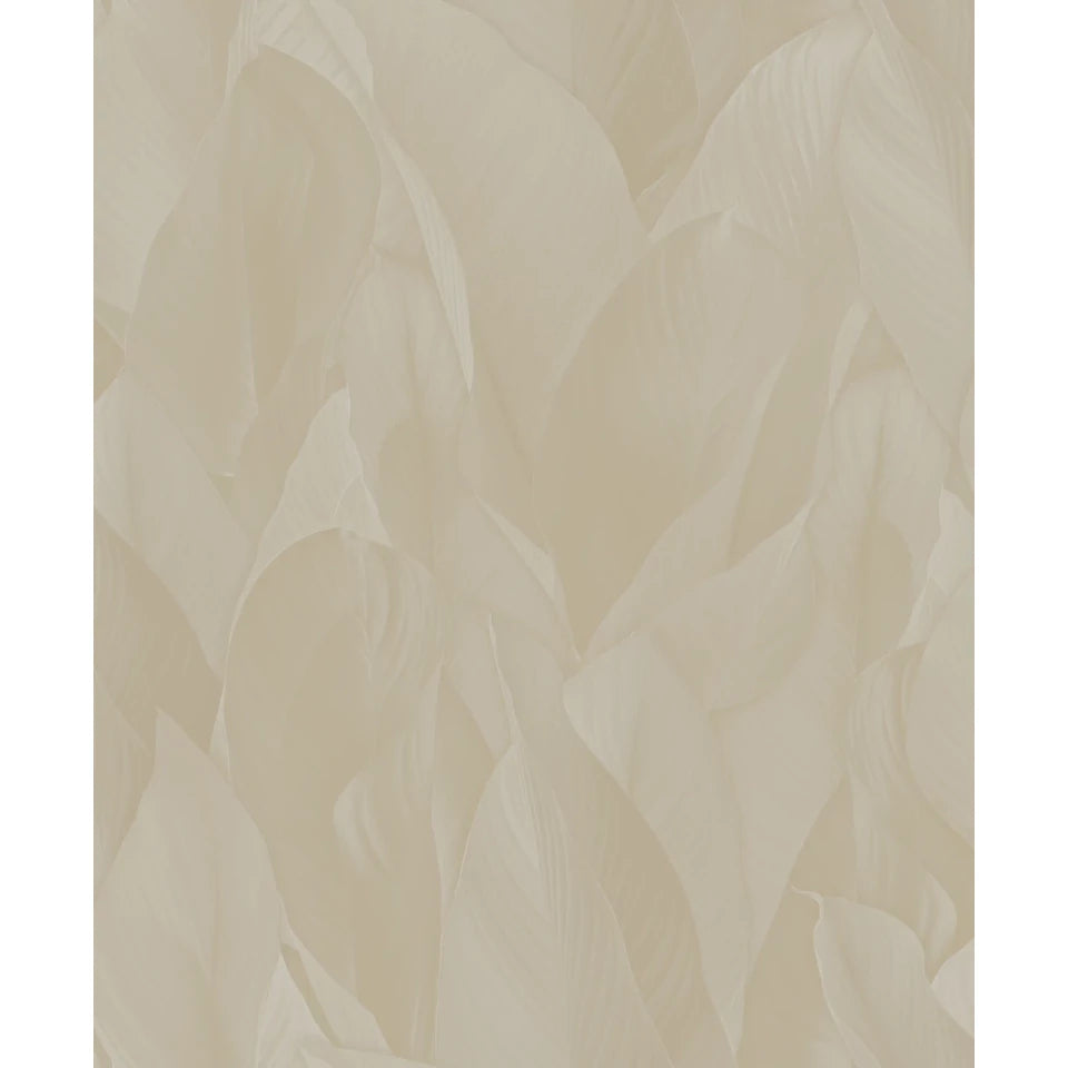 Architexture 2