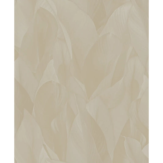 Architexture 2