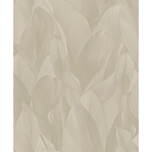 Architexture 2