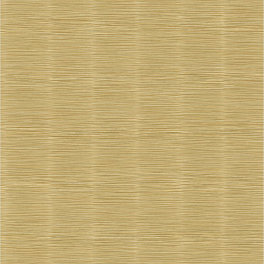 Architexture 2