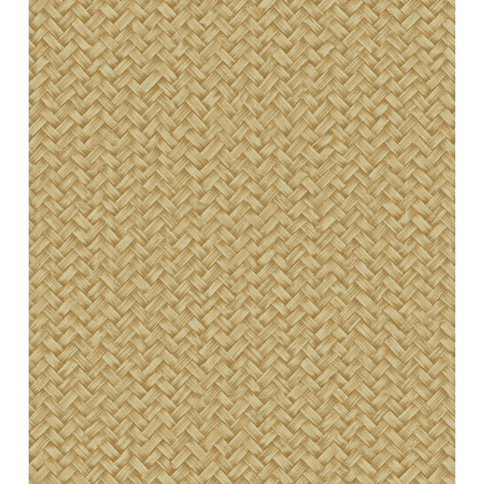 Architexture 2