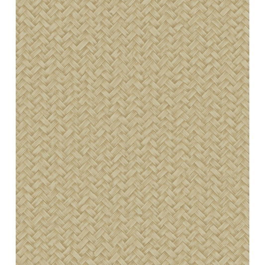 Architexture 2