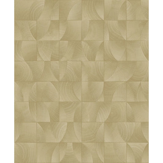 Architexture 2