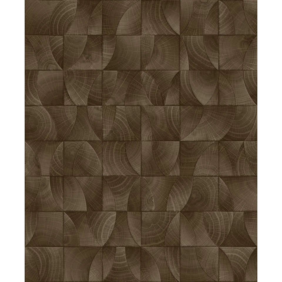 Architexture 2