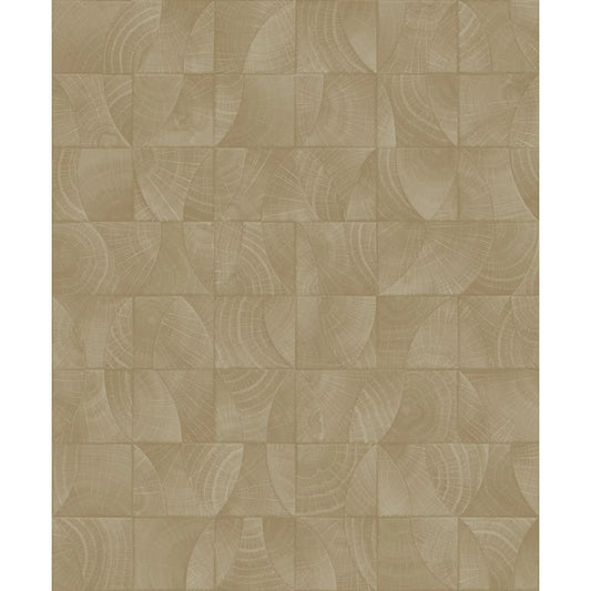Architexture 2