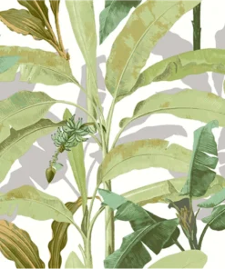 Flora