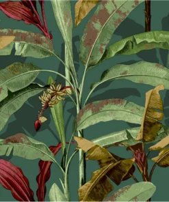 Flora
