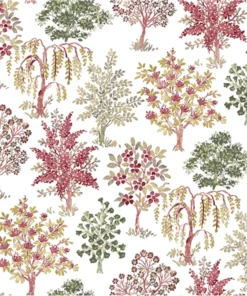 Flora