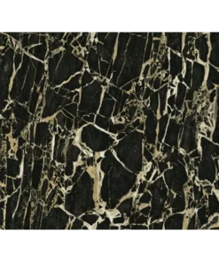 Carrara 3